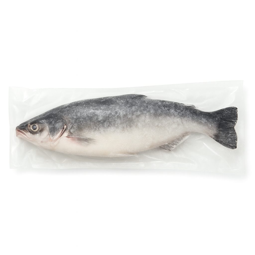 Swai Fish Head On Gutted